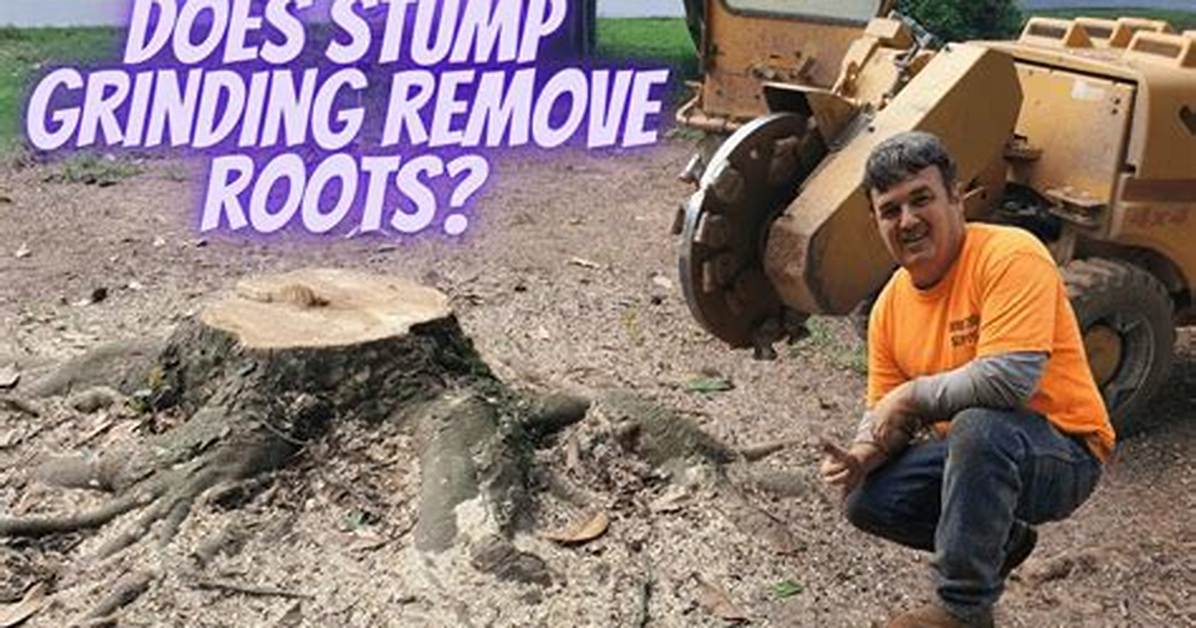 Does Stump Grinding Remove Roots?
