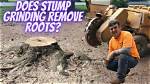 Does Stump Grinding Remove Roots?