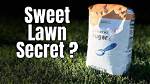 Does Sugar Help Grass