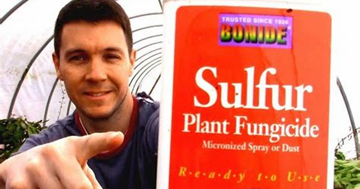Does Sulfur Kill Aphids?