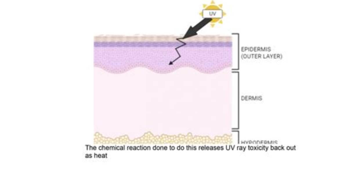 Does Sunscreen Actually Work?