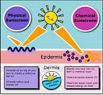 Does Sunscreen Work Immediately? | Contextresponse. Com