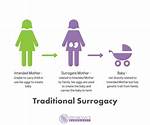 Does Surrogate Mean Substitute?