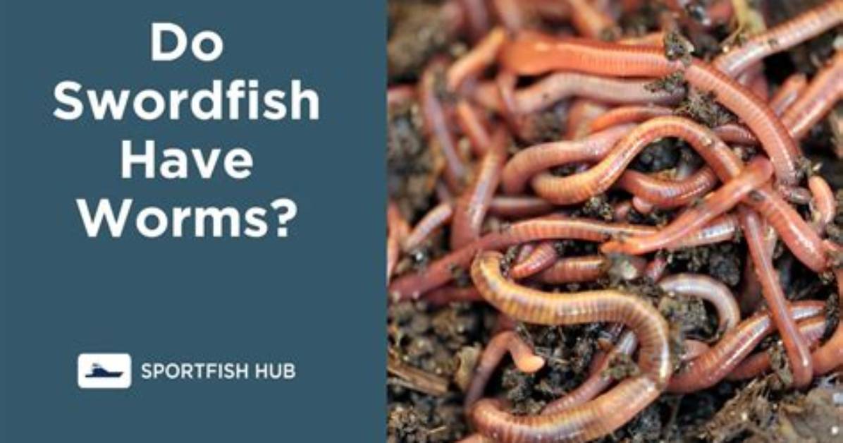 Does Swordfish Have Worms?