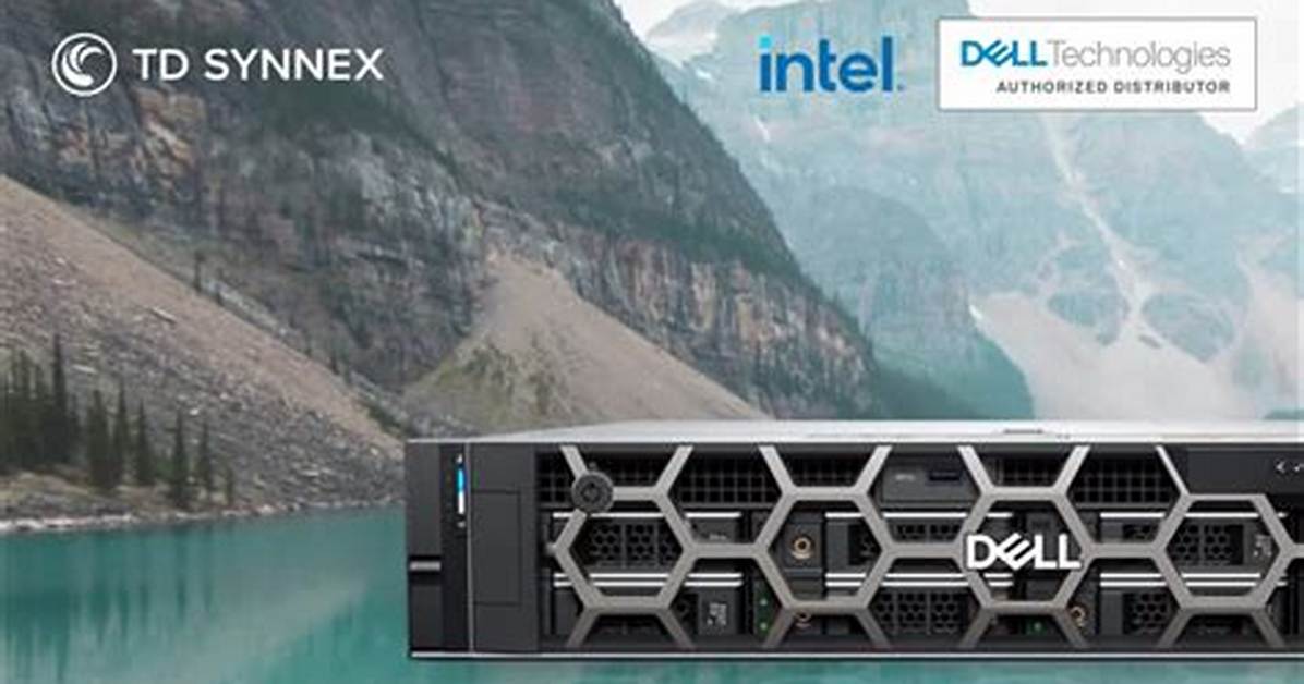 Does Synnex Sell Dell?