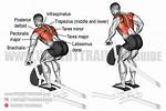 Does T Bar Row Work Upper Back?