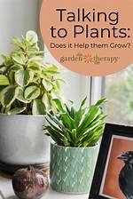 Does Talking to Your Plants Help Them Grow