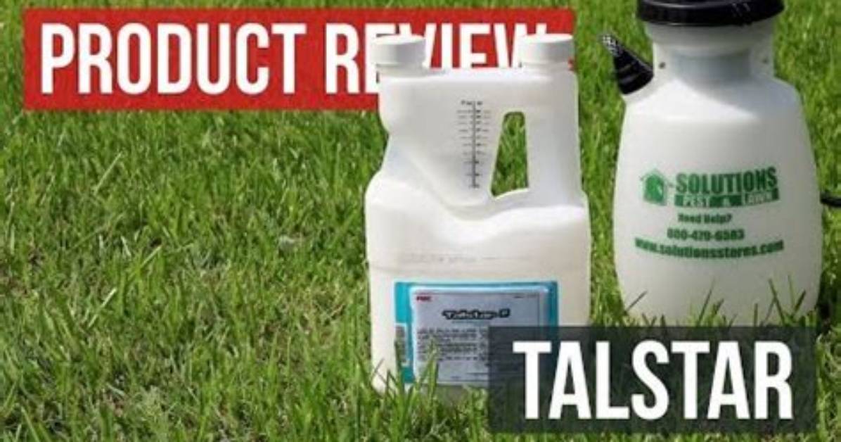 Does Talstar Kill Ticks