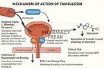 Does Tamsulosin Affect Ejaculation?