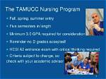 Does Tamucc Have a Nursing Program?