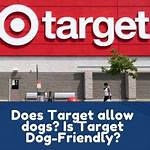 Does Target Allow Dogs?
