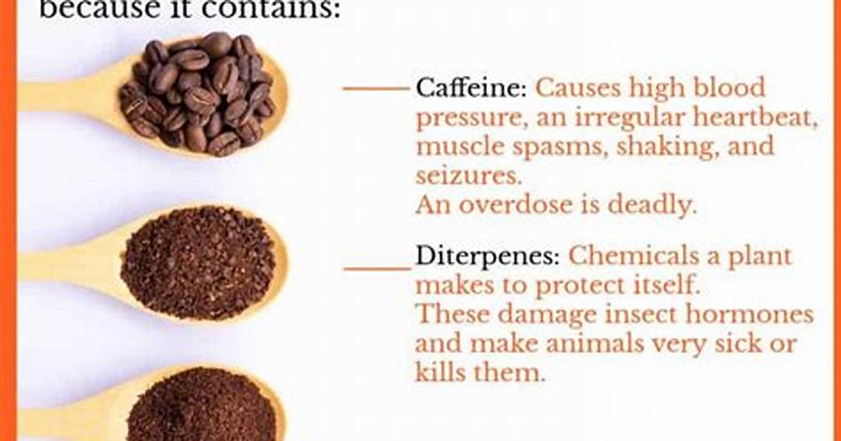 Does Tea Have Diterpenes?