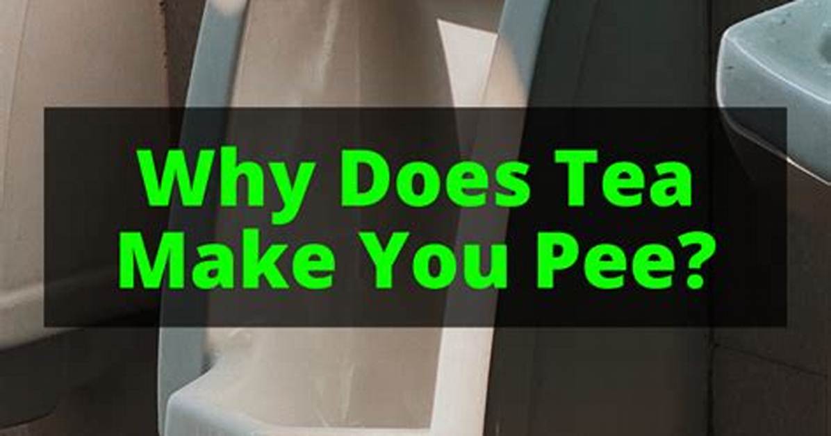 Does Tea Make You Pee?