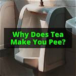 Does Tea Make You Pee?