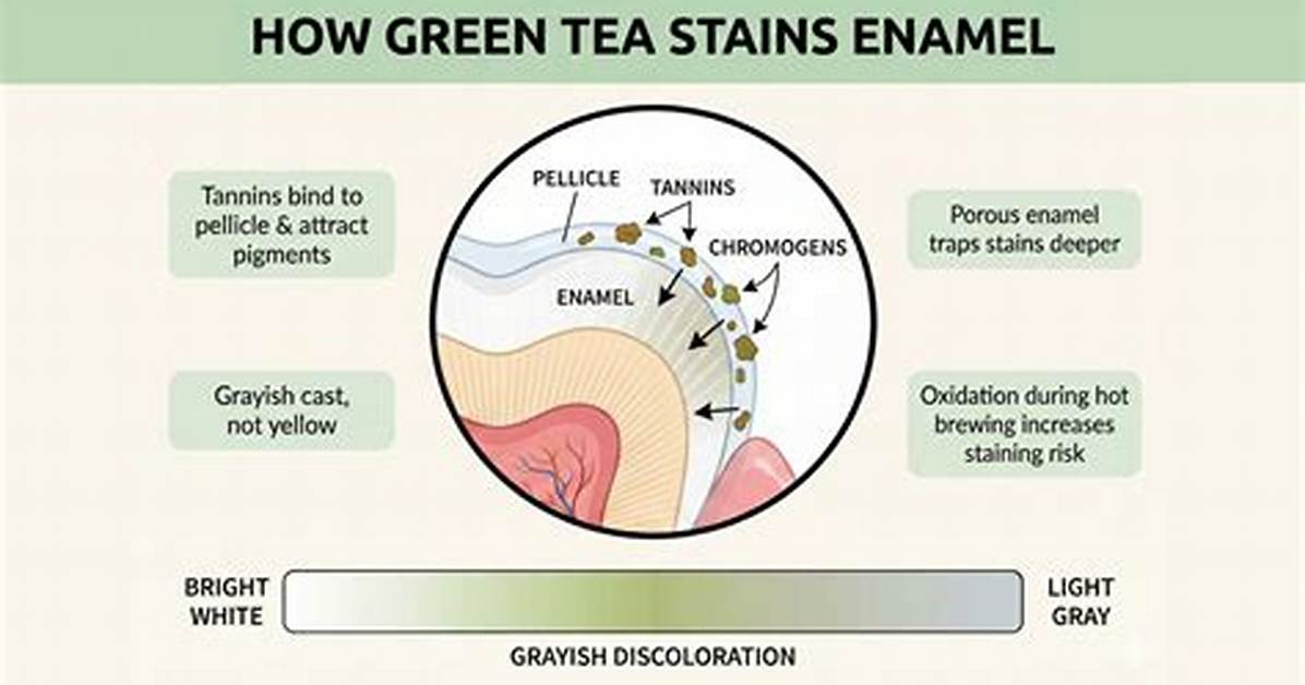 Does Tea Stain Your Teeth