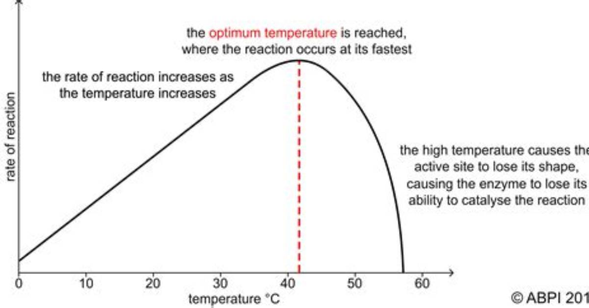 Does Temperature Affect Spiciness?
