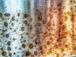Does Tempered Steel Rust?