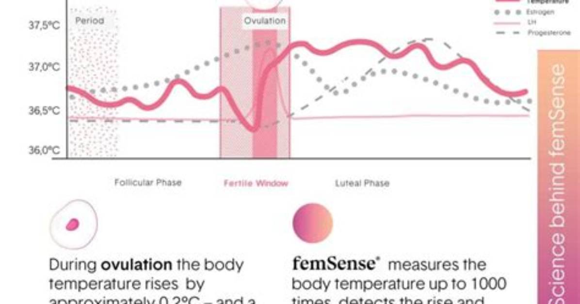 Does Temping Confirm Ovulation?