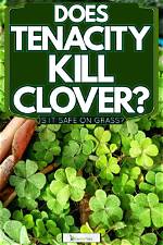 Does Tenacity Kill Clover?
