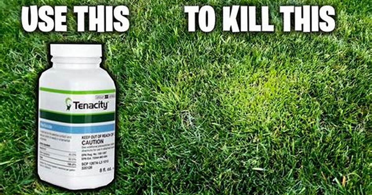 Does Tenacity Kill Crabgrass?