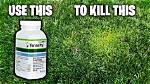 Does Tenacity Kill Crabgrass?