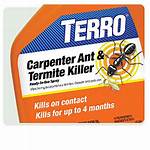 Does Termite Treatment Kill Ants?
