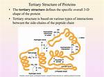Does Tertiary Structure Determine Function?