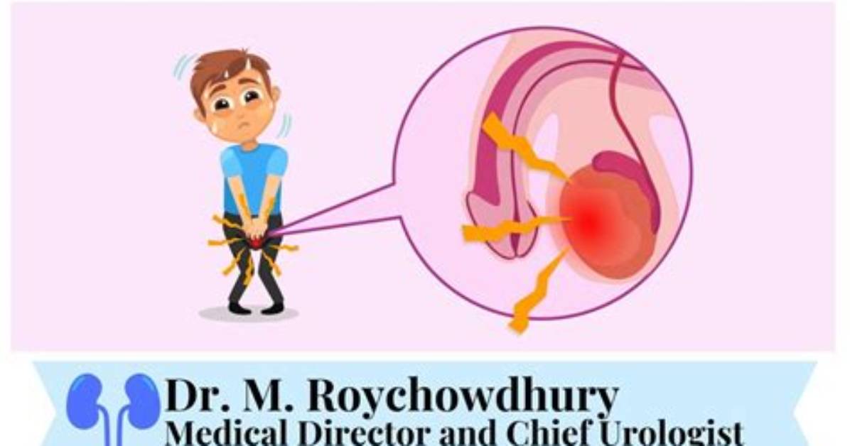 Does Testis Heal Itself?