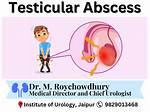 Does Testis Heal Itself?