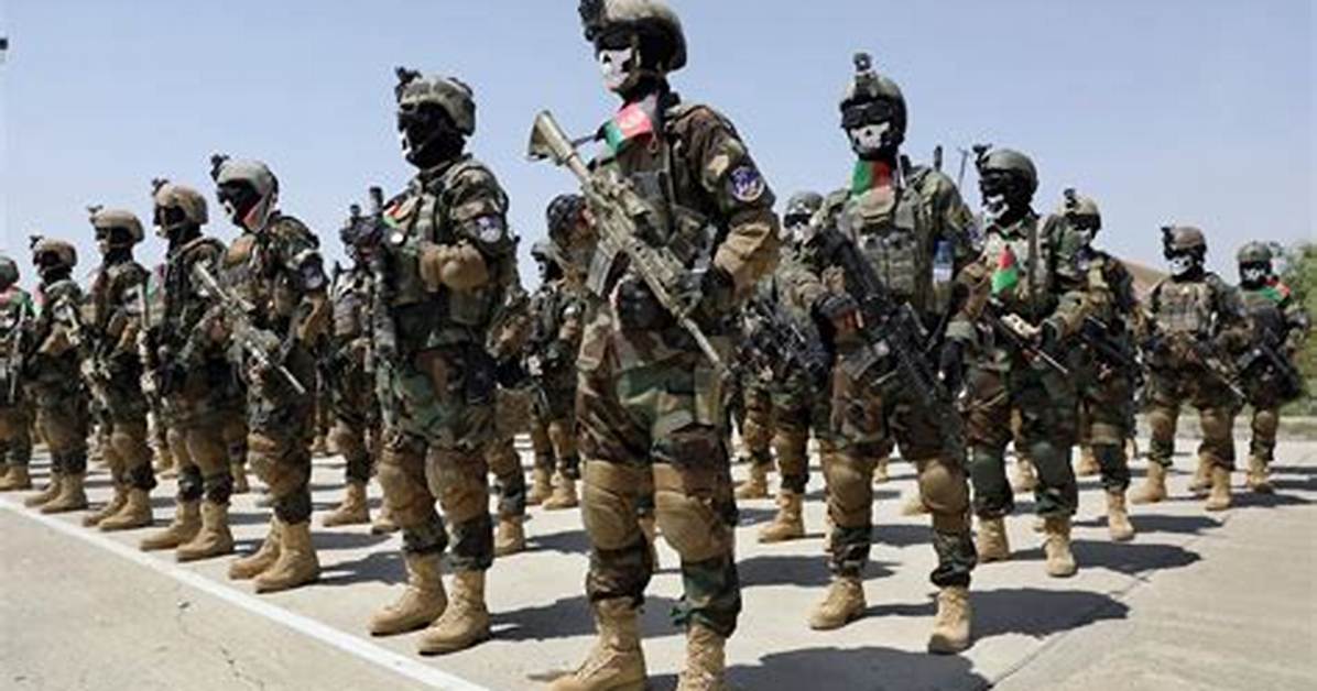 Does the Army Have Commandos?