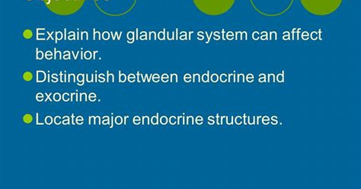 Does the Glandular System Affect Behavior?