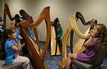 Does the Harp Program Really Work