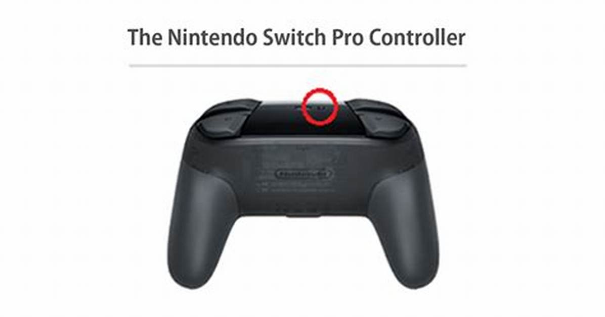 Does the Nintendo Switch Pro Controller Use Batteries?