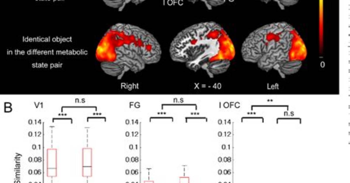 Does the Orbitofrontal Cortex Signal Value?