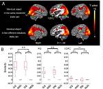 Does the Orbitofrontal Cortex Signal Value?