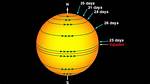 Does the Sun Spin?