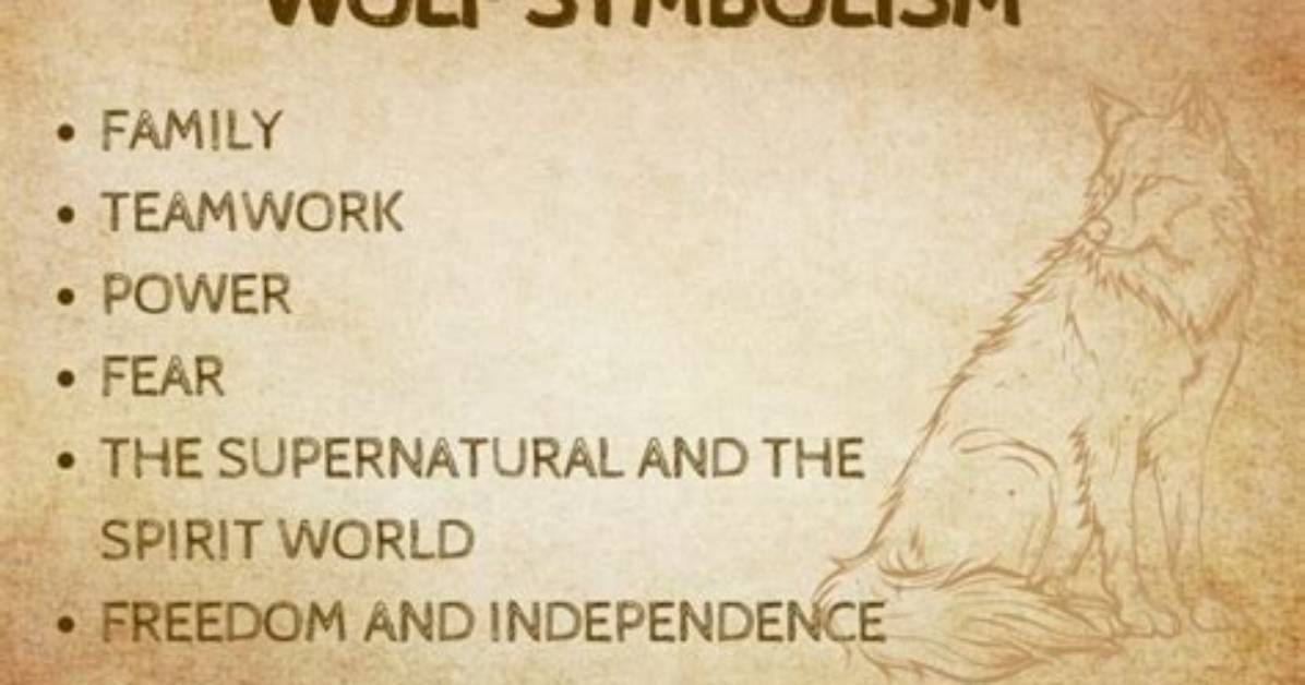 Does the Wolf Represent?
