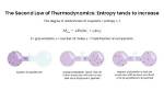 Does Thermodynamics Increase Entropy?