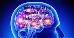 Does Thoughts Have Energy?