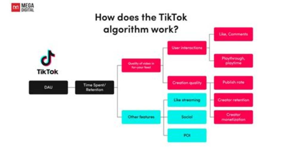 Does Tiktok Have an Algorithm?