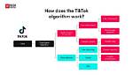Does Tiktok Have an Algorithm?
