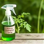 Does Tomato Leaf Spray Kill Aphids