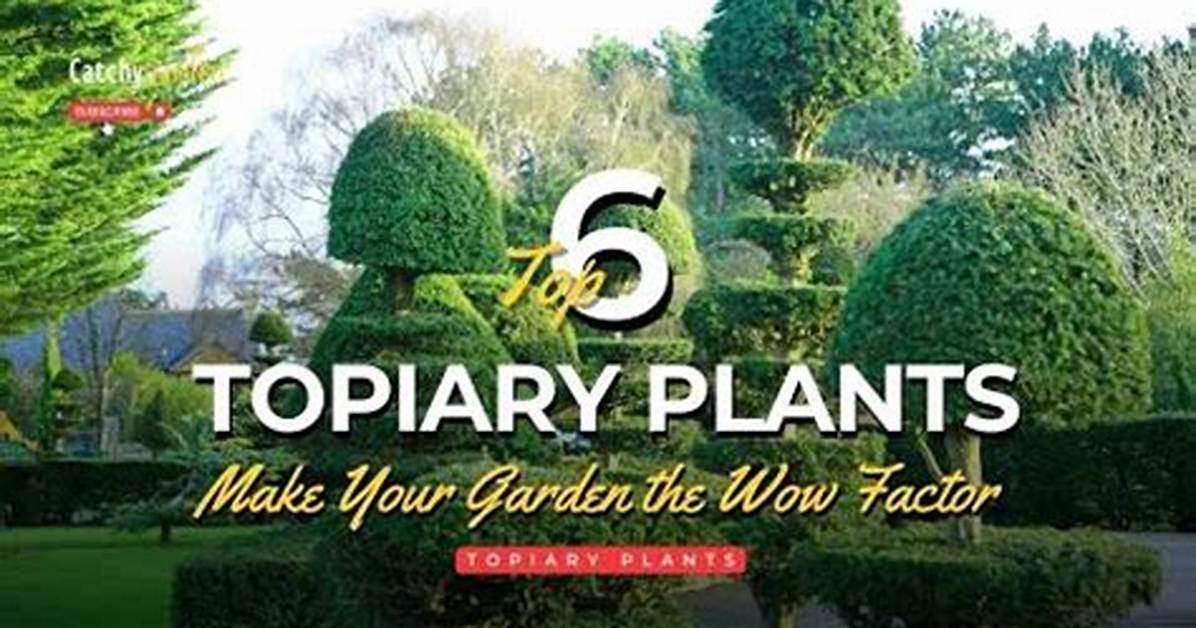 Does Topiary Need Full Sun?