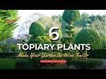 Does Topiary Need Full Sun?