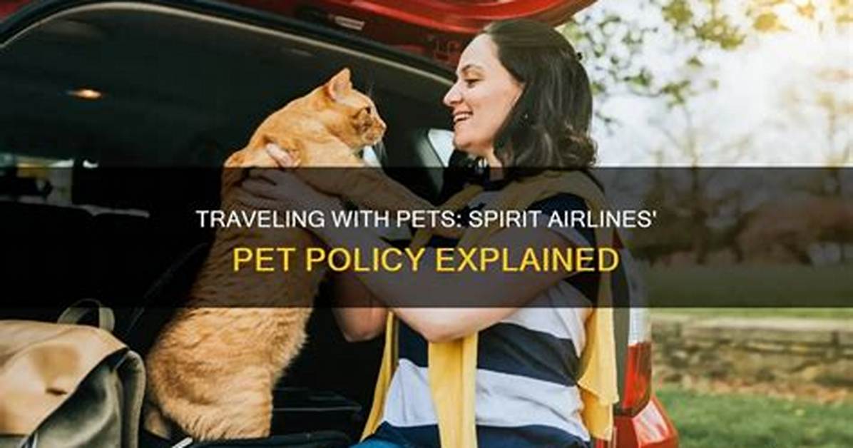 Does Trailways Allow Pets?