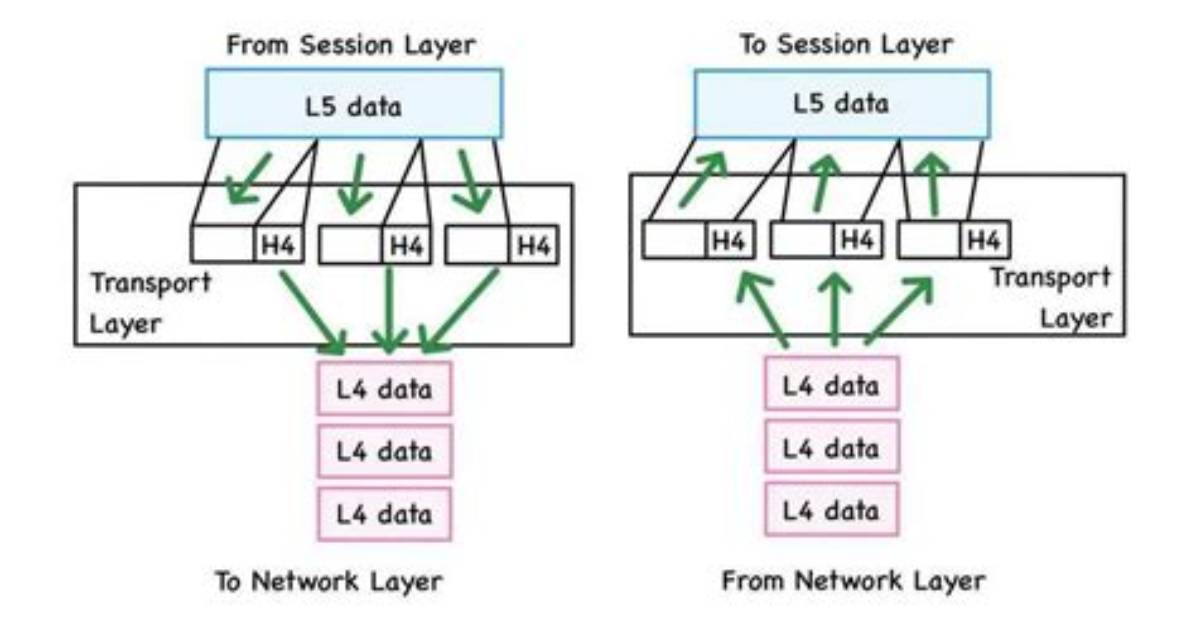 Does Transport Layer Multiplex?