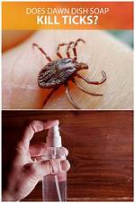 Does Trounce Kill Ticks?