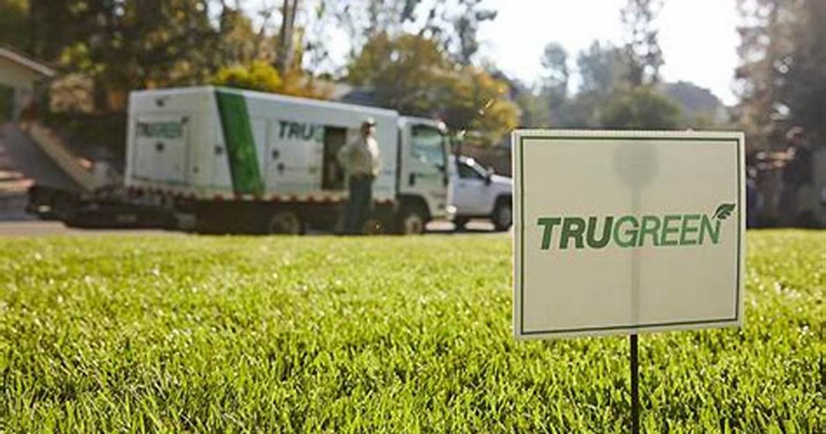 Does Trugreen Do Seeding?