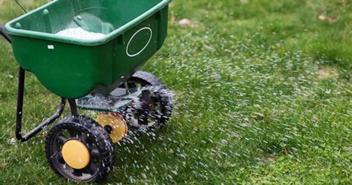 Does Trugreen Pull Weeds?