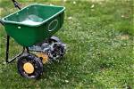 Does Trugreen Pull Weeds?